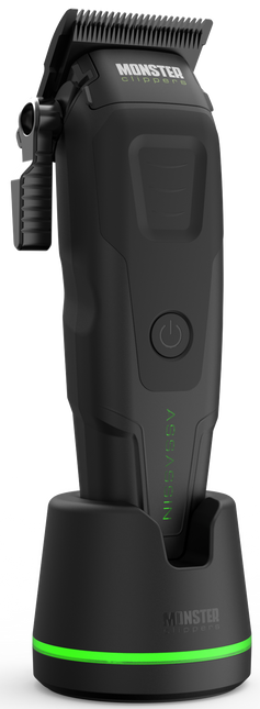 ASSASSIN CLIPPER
